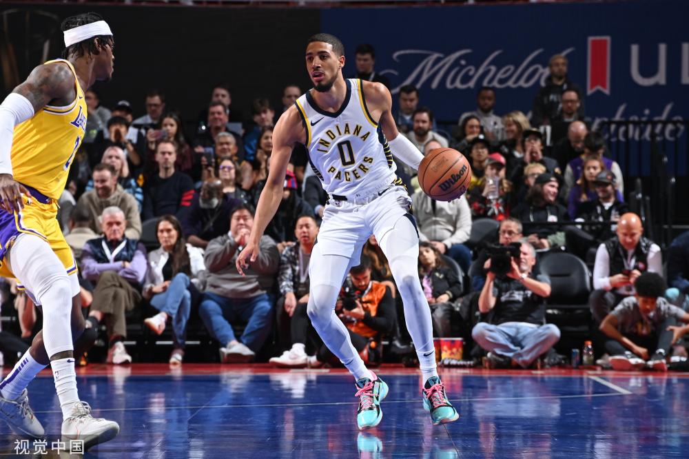 字母哥数据 字母哥数据